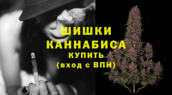 spice Горнозаводск
