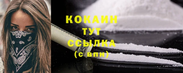 индика Вяземский