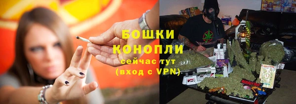 индика Вяземский