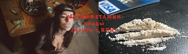 индика Вяземский