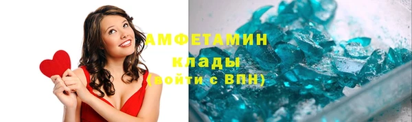 индика Вяземский