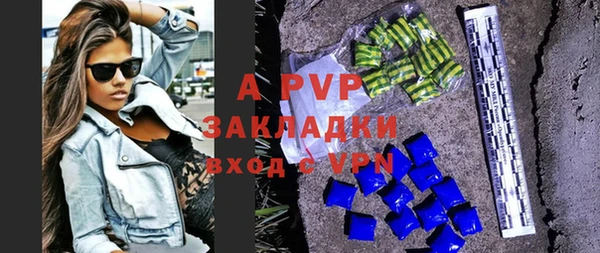 индика Вяземский