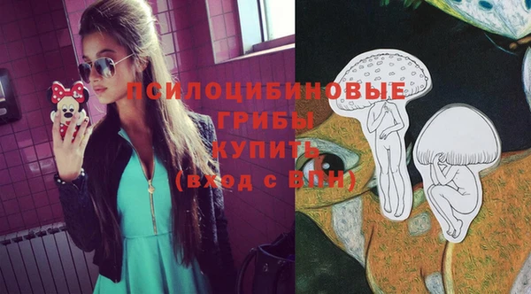 индика Вяземский