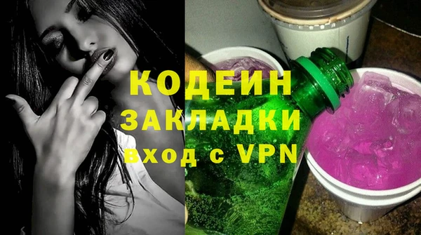 индика Вяземский