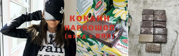 индика Вяземский