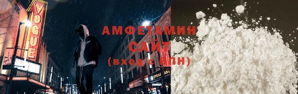 индика Вяземский