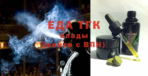 индика Вяземский