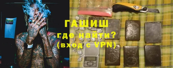 индика Вяземский