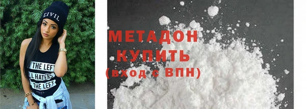 индика Вяземский